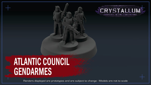 Atlantic Council Gendarmes Platoon