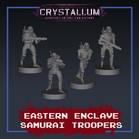Eastern Enclave Samurai Troopers