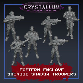 Eastern Enclave Shinobi Shadow Platoon