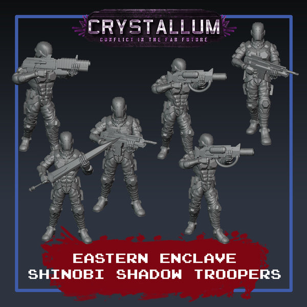 Eastern Enclave Shinobi Shadow Platoon