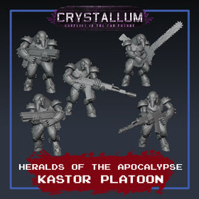 Heralds of the Apocalypse Kastor Platoon