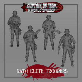 Nato Elite Troopers