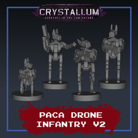 PACA Drone Infantry Platoon