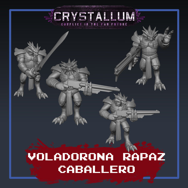 Voladorona Rapaz Caballero