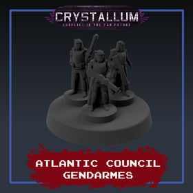 Atlantic Council Gendarmes Platoon