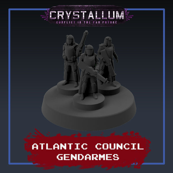 Atlantic Council Gendarmes Platoon