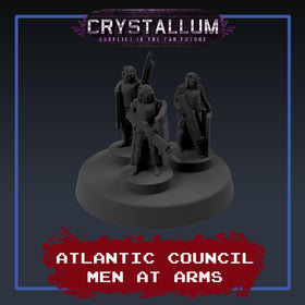 Atlantic Council Men At Arms Platoon