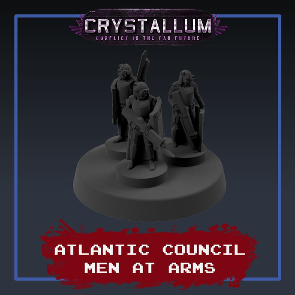 Atlantic Council Men At Arms Platoon