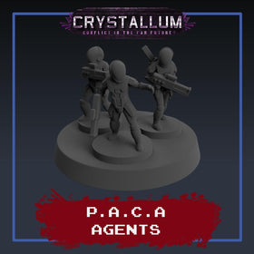 PACA Agent Platoon