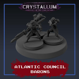 Atlantic Council Baron Platoon