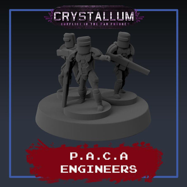 PACA Engineer Platoon