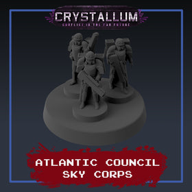 Atlantic Council Sky Corps Platoon
