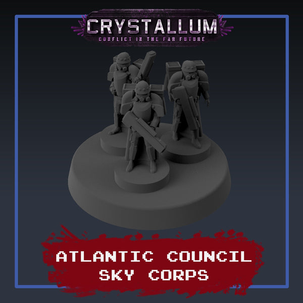 Atlantic Council Sky Corps Platoon