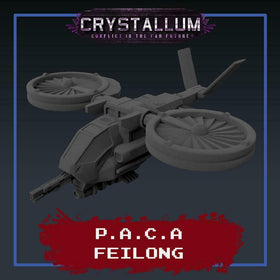 PACA Feilong VTOL