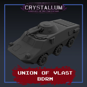 Vlast BRDM Attack Vehicle Platoon