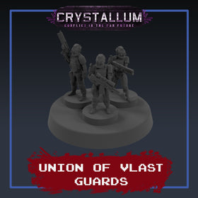 Vlast Guards Platoon