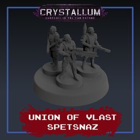 Vlast Spetsnaz Platoon