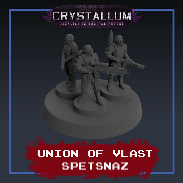 Vlast Spetsnaz Platoon