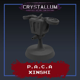 PACA Xinshi Recon Drone
